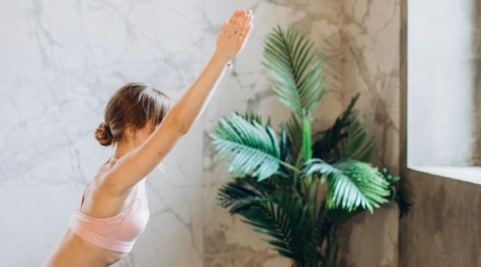 Consentod Vorschaubild